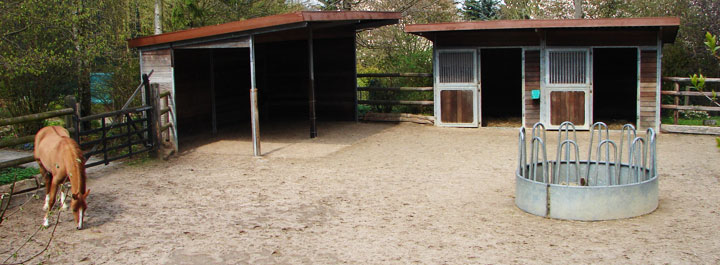 Reitsportgeschäft: Reitsportartikel Shop | Hofmeister Pferdesport