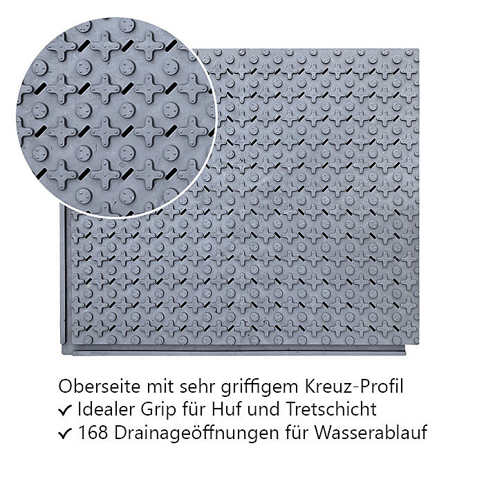 Paddockplatten Pferd