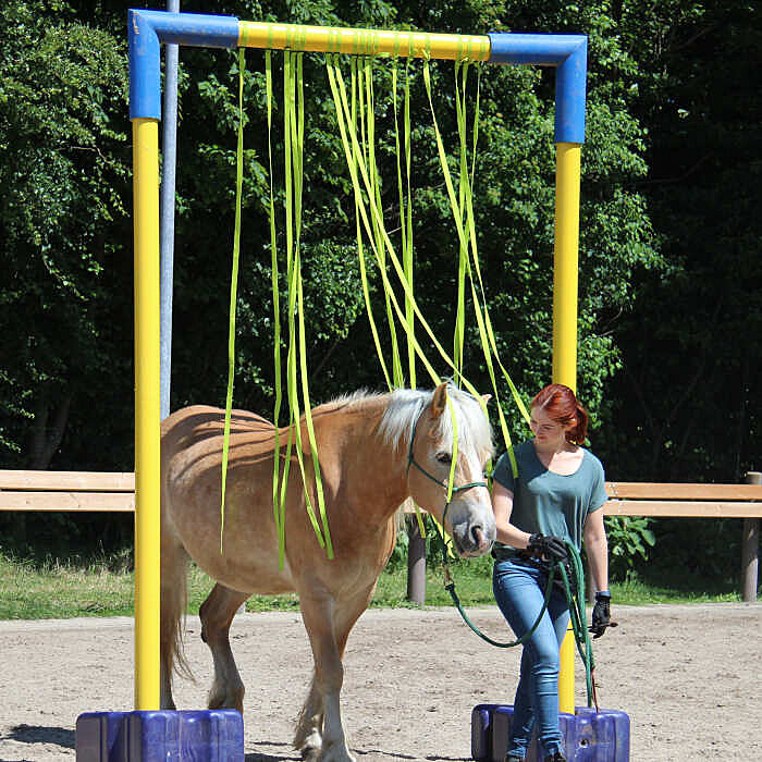 Flattertor zum Durchreiten Komplettset