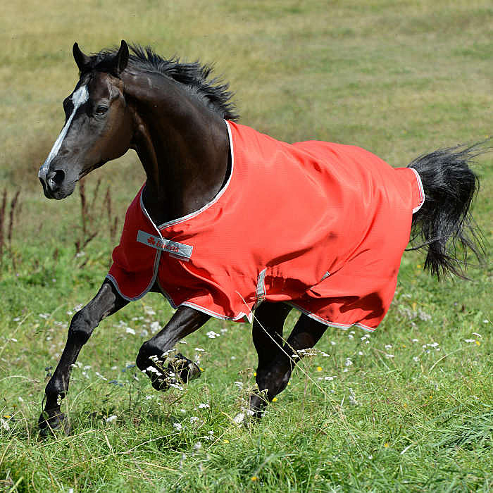 Bucas Weidedecke Freedom Turnout light