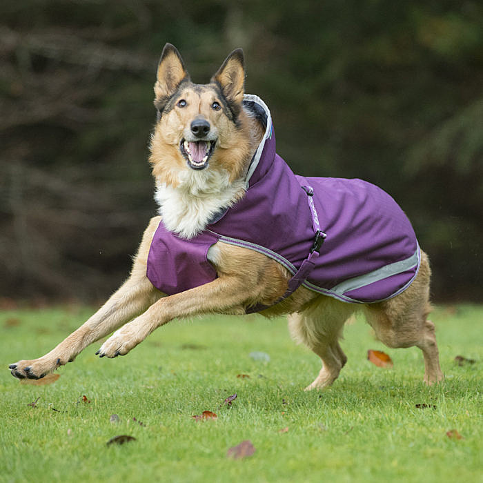 Bucas Hundedecke Freedom 300 g
