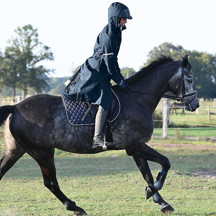 Busse ReitRegenmantel Signy kaufen Hofmeister Pferdesport