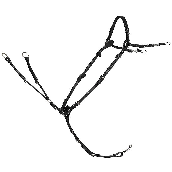 Schockemöhle Sports Vorderzeug Basic Pro Jump II 