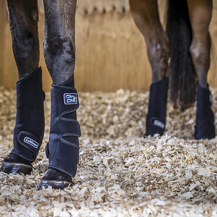 LeMieux Kühlgamaschen Tendon Chill