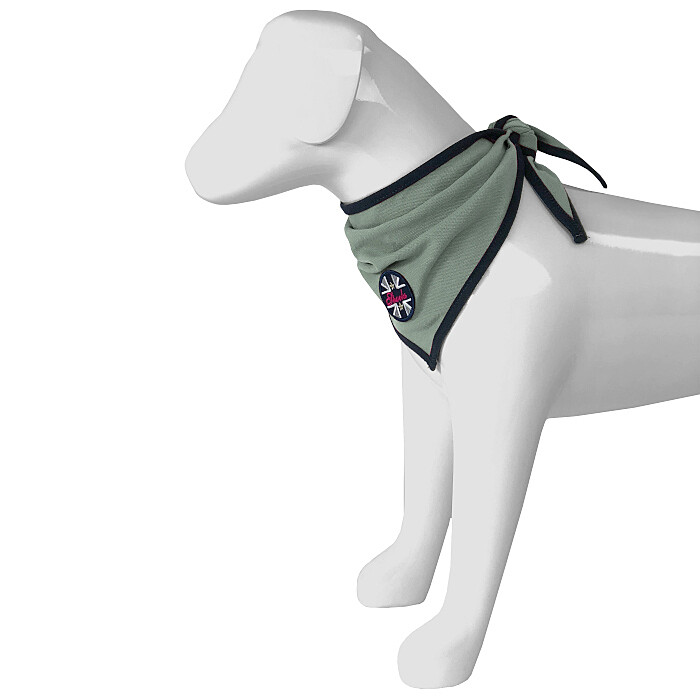 Spooks Dog Bandana
