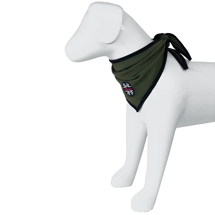 Spooks Dog Bandana