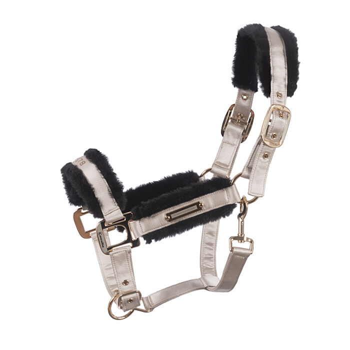 Cavallo Halfter Cavallucile