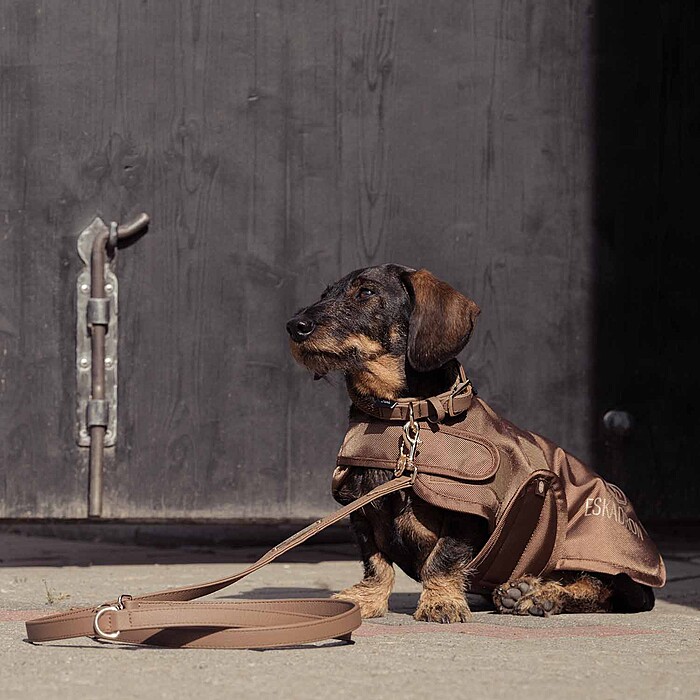 Eskadron Hundemantel Teddyfleece 1680 D Heritage 2024
