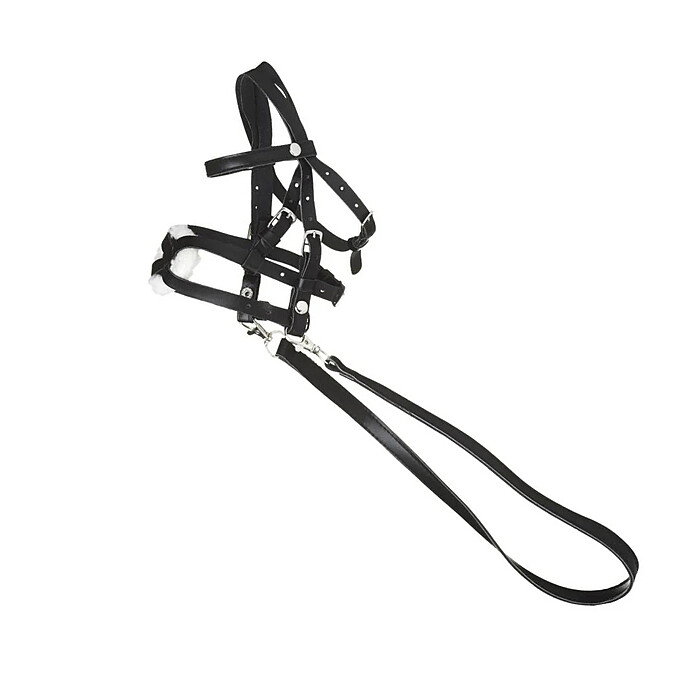 Hobby Horse Trense