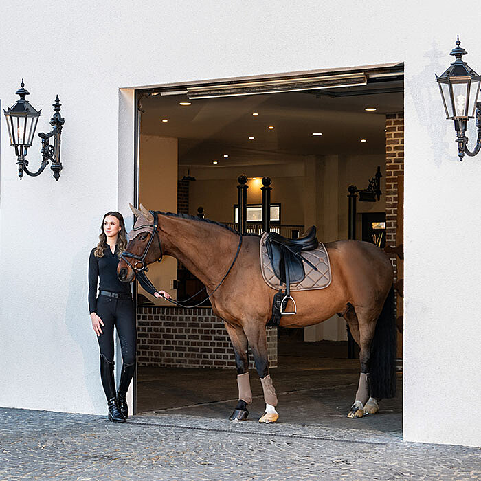 Eskadron Gamaschen Pro Dressage Front