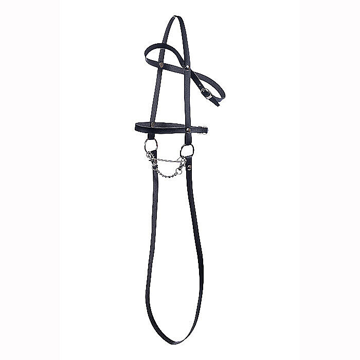 Hobby Horse & Hindernis-Set