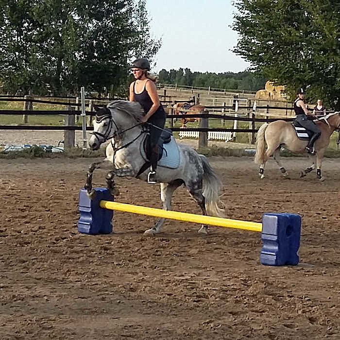 CombiJump Cavalettiblock 6er, 8er oder 10er Set