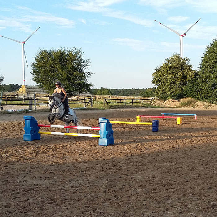 CombiJump Cavalettiblock 6er, 8er oder 10er Set