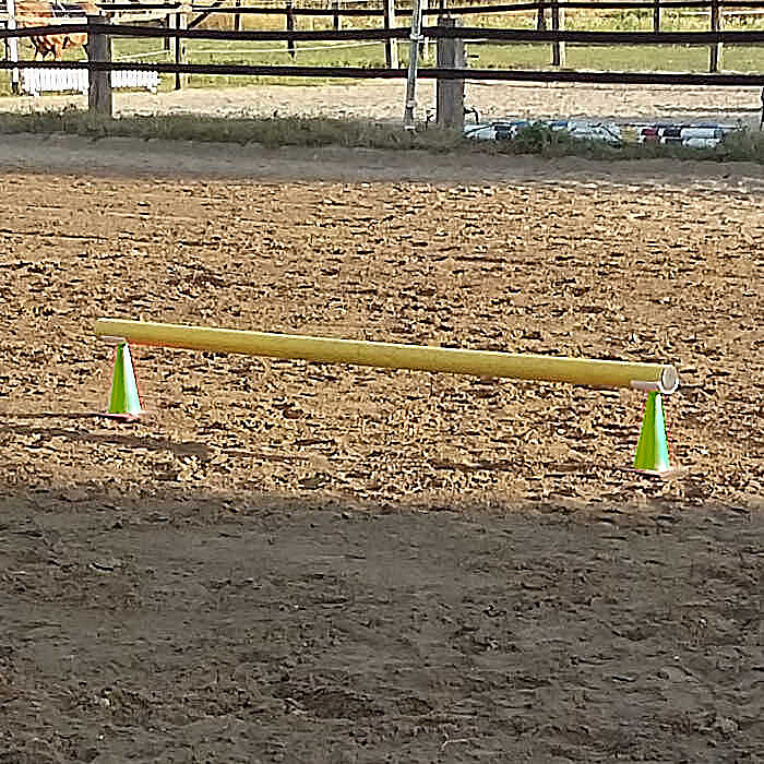 Cavaletti Paket Starter mit 30er Kegel
