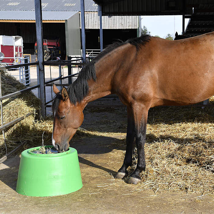 Stubbs Heuraufe Slo-Grazer