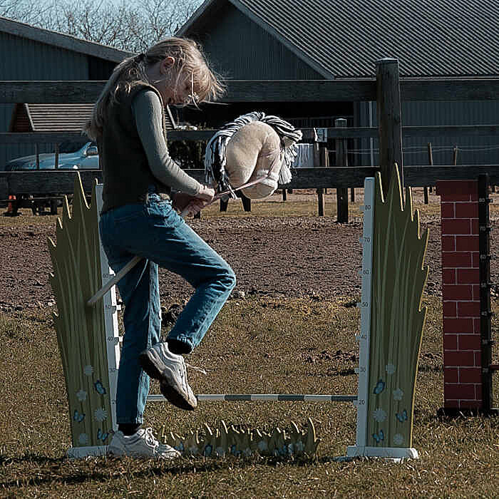 Hobby Horse Hindernis Flower kaufen