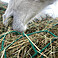 Futtersparnetz 100 mm Gre 2,80 x 2,80 m