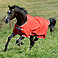 Bucas Weidedecke Freedom Turnout light