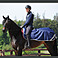 Bucas Ausreitdecke Freedom