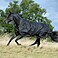 Bucas Weidedecke Irish Turnout High Neck Light 50g