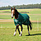 Bucas Weidedecke Turnout Extra