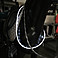 LED Leuchthalsring fr Pferde
