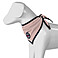 Spooks Dog Bandana