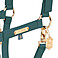 Eskadron Halfter Faux Leather Double Pin Heritage 2024