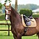 HV Polo Schabracke HVPClassic Dressur