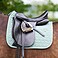 HV Polo Dressur Schabracke HVPEssential DR