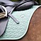 HV Polo Dressur Schabracke HVPEssential DR