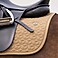 HV Polo Dressur Schabracke HVPEssential DR