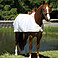 Horseware Unterdecke Waterproof Fly Rug Liner