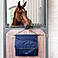 Equiline Boxentasche Holder