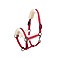 Eskadron Halfter Doublepin Glossy EVO-WOOL Reflexx 2023