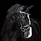 Imperial Riding Trense IRHFria