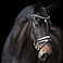 Imperial Riding Trense IRHFria