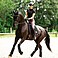  ABUS PIKEUR Reithelm AirLuxe Chrome - langer Schirm 