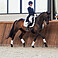 Eskadron Gamaschen Softshell Platinum Pure 2023