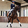 Eskadron Gamaschen Softshell Platinum Pure 2023