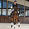 Eskadron Gamaschen Softshell Platinum Pure 2023