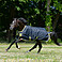 Bucas Weidedecke Oasis Turnout mit Halsteil