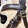 Hobby Horse Trense Mexikanisch