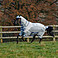 Bucas Ekzemerdecke Sweet-itch