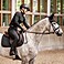 Waldhausen SWING Rckenprotektor P24 Pro Level 2