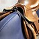 Freejump Saddle Y-Strap Befestigungsgurt