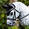 LeMieux Hobby Horse Fliegenohren