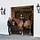 Eskadron Gamaschen Pro Dressage Front