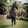 Bucas Weidedecke Irish Turnout mit Halsteil