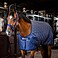 Bucas Cosy Stalldecke